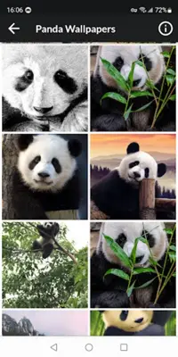 Panda HD Wallpapers android App screenshot 1