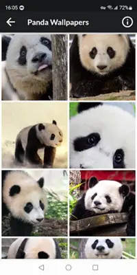 Panda HD Wallpapers android App screenshot 2